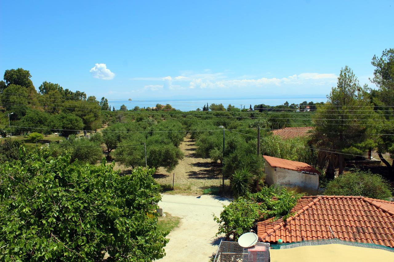 Zante Yliessa Apartment Vasilikos  Exterior photo
